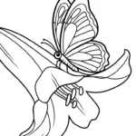 coloriage Lys gratuit a imprimer