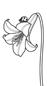 coloriage Lys educatif pour enfant
