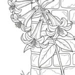 coloriage Lys pour enfant à imprimer