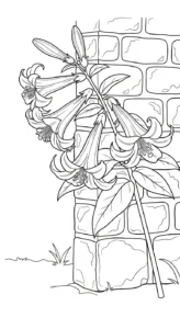 coloriage Lys pour enfant à imprimer