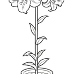 imprimer coloriage Lys pour enfant