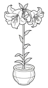imprimer coloriage Lys pour enfant