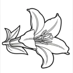 coloriage Lys à imprimer pour enfant de 3 ans