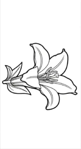 coloriage Lys à imprimer pour enfant de 3 ans