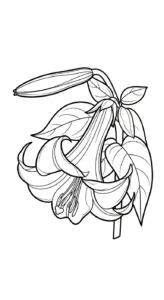 télécharger coloriage Lys gratuit