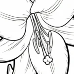 coloriage Lys a dessiner en ligne