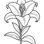 coloriage Lys à imprimer pdf gratuit