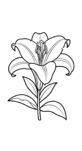 coloriage Lys à imprimer pdf gratuit
