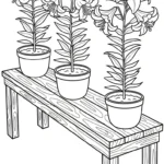 coloriage Lys a imprimer pour enfant de 4 ans