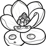coloriage Magnolia pour enfant a imprimer gratuit