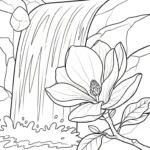 coloriage Magnolia et dessins