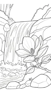 coloriage Magnolia et dessins