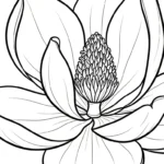 a imprimer coloriage Magnolia gratuit
