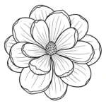 coloriage Magnolia a dessiner en ligne