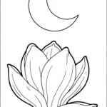 coloriage Magnolia à imprimer