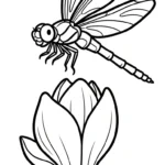 coloriage Magnolia à imprimer pdf