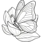 coloriage Magnolia et decoupage