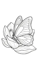 coloriage Magnolia et decoupage