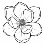 coloriage Magnolia et découpage à imprimer