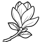 coloriage Magnolia a imprimer gratuitement