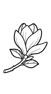 coloriage Magnolia a imprimer gratuitement