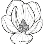 coloriage Magnolia pour enfant de 10 ans