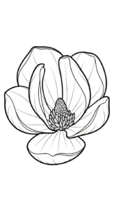 coloriage Magnolia pour enfant de 10 ans
