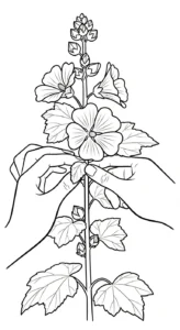 coloriage Mauve pour enfant a imprimer gratuit