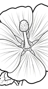 coloriage Mauve de pour enfants
