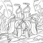 coloriage Nepenthes et decoupage