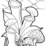coloriage Nepenthes gratuit a imprimer