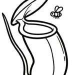 coloriage Nepenthes gratuit en ligne