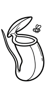 coloriage Nepenthes gratuit en ligne