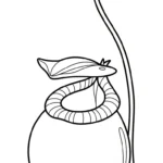 coloriage Nepenthes de pour enfants
