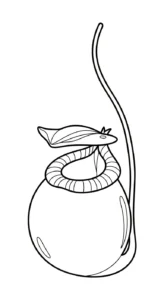 coloriage Nepenthes de pour enfants