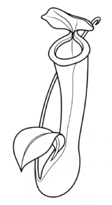 coloriage Nepenthes à imprimer pour enfant de 3 ans