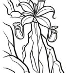 coloriage Nepenthes pour bebe a imprimer