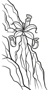 coloriage Nepenthes pour bebe a imprimer