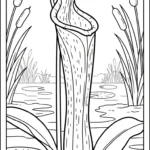 coloriage Nepenthes pour enfants a imprimer
