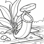 coloriage Nepenthes et dessin a imprimer