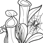 coloriage Nepenthes à imprimer pour enfant de 9 ans
