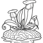 coloriage Nepenthes pour enfant