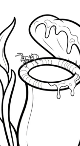 coloriage Nepenthes à imprimer pour enfant de 8 ans