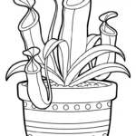 coloriage Nepenthes à imprimer pour enfant de 2 ans