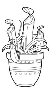 coloriage Nepenthes à imprimer pour enfant de 2 ans