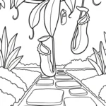 coloriage Nepenthes pour enfant de 2 ans