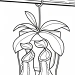 coloriage Nepenthes à imprimer gratuit