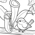 coloriage Nepenthes à imprimer pour enfant de 3 ans