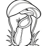 imprimer coloriage Nepenthes gratuit