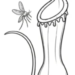 coloriage Nepenthes pour enfant à imprimer
